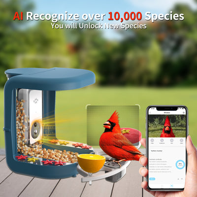 Smart Bird feeder camera Solar powered Bird Feeder for Hummingbird with Dual Seed Bin