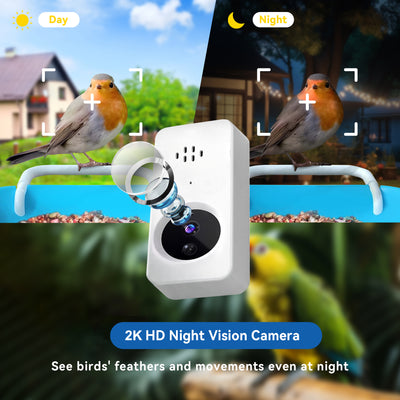 Solar Bird feeder camera Smart Bird Feeder 2K HD Video Live Stream Camera  AI Bird Species Identification for Bird Lover