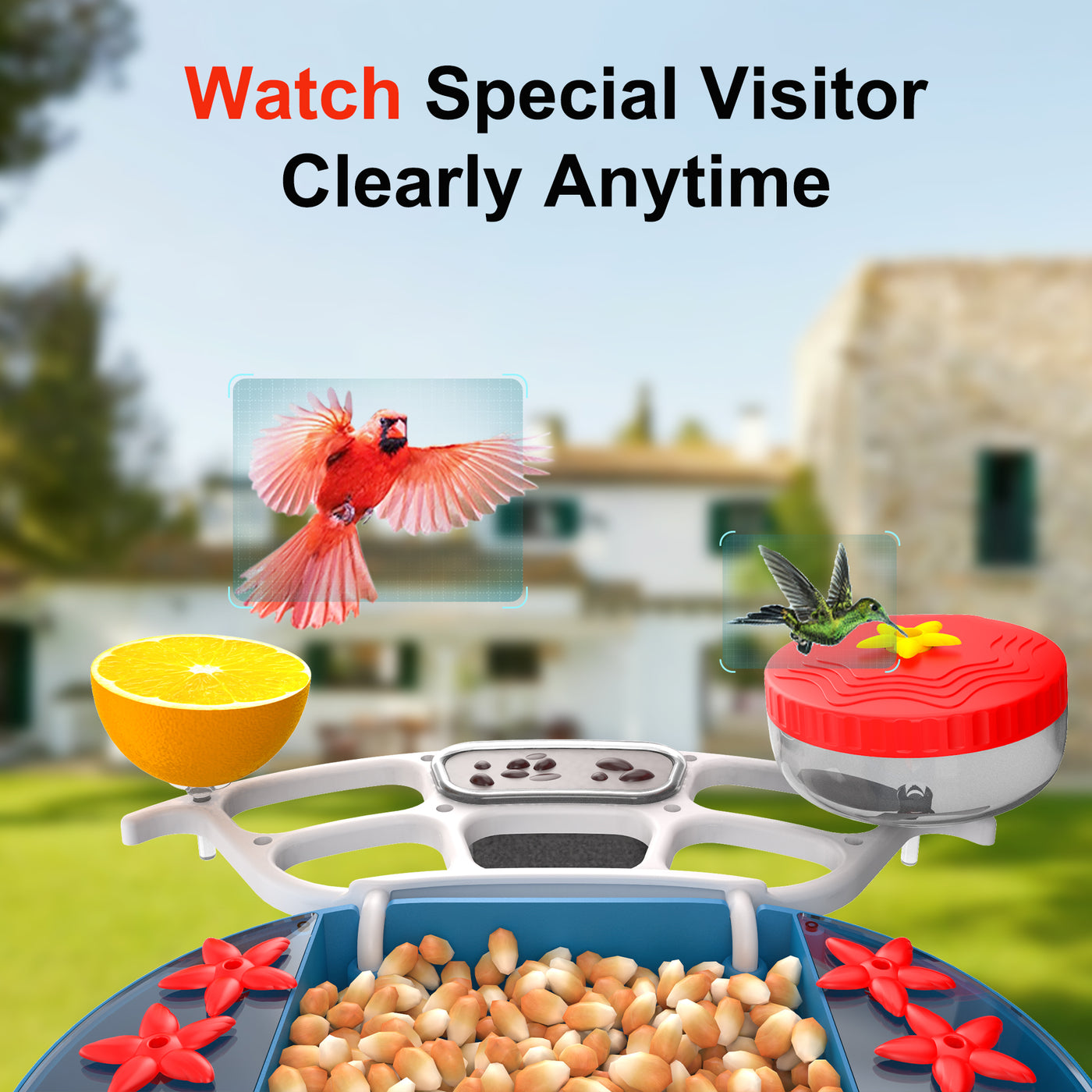 Solar Bird feeder camera Smart Bird Feeder 2K HD Video Live Stream Camera  AI Bird Species Identification for Bird Lover